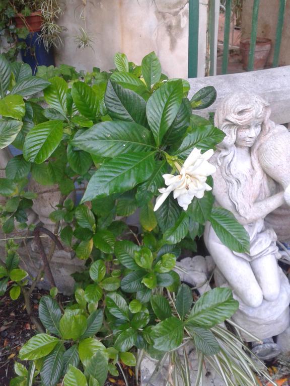 B&B Albatros Lipari  Zewnętrze zdjęcie