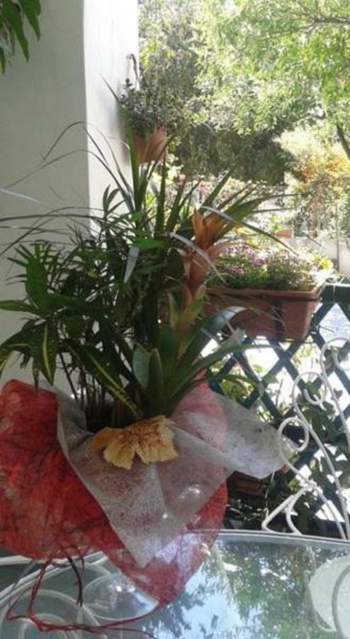 B&B Albatros Lipari  Zewnętrze zdjęcie