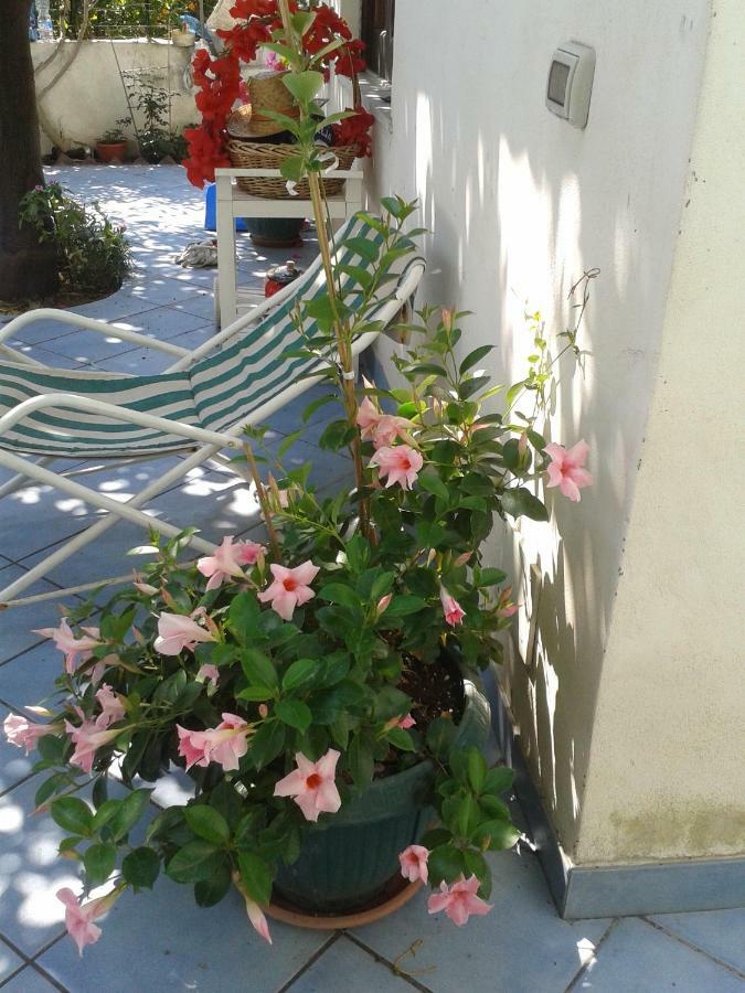B&B Albatros Lipari  Zewnętrze zdjęcie