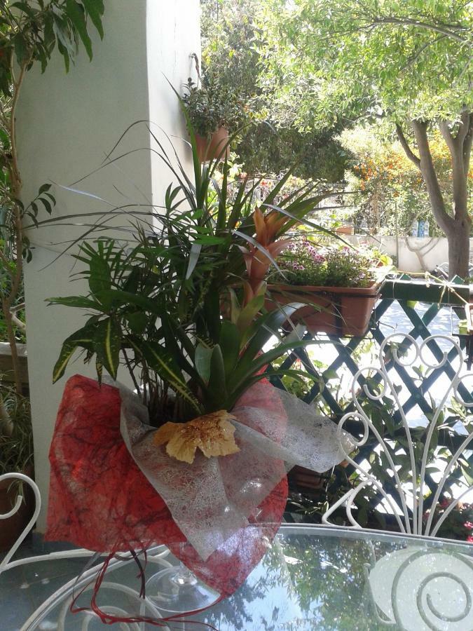 B&B Albatros Lipari  Zewnętrze zdjęcie
